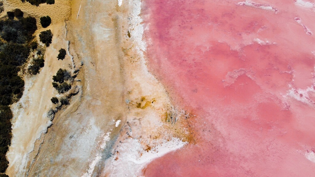 Pink lake of Australia